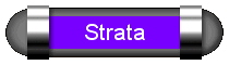 Strata Services